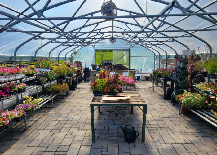 Green Lake Nursery - Image 4