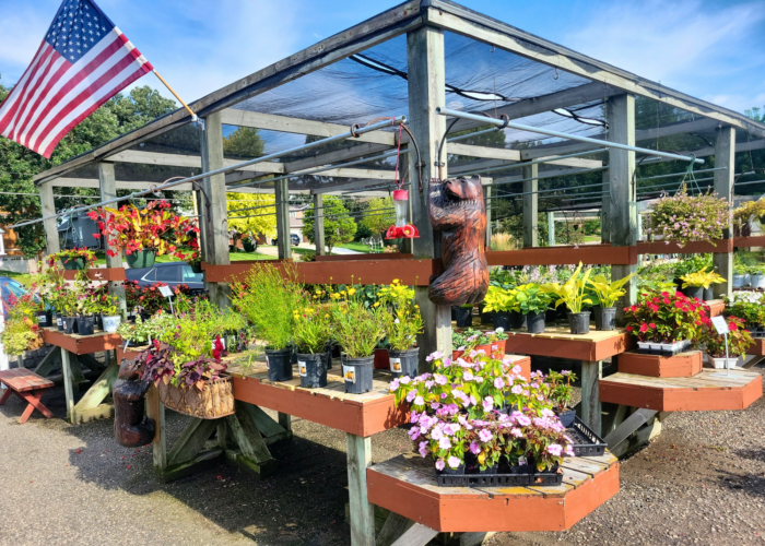 Green Lake Nursery